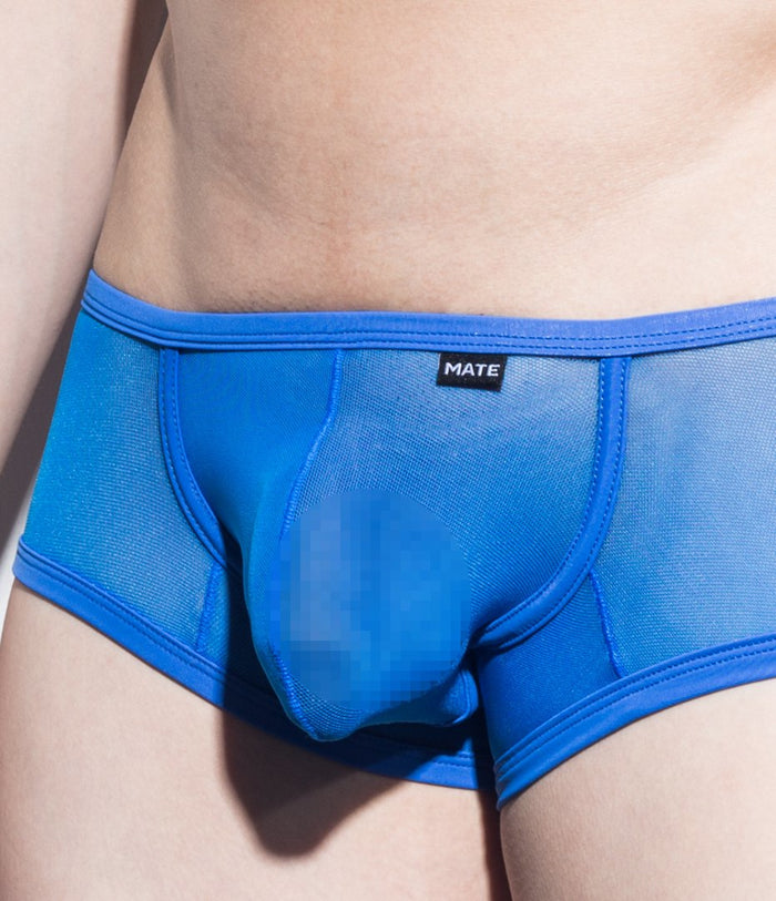 Sexy Men's Underwear Signature Ultra Squarecut Trunks - Ji Su (Mesh Series) - MATEGEAR - Sexy Men's Swimwear, Underwear, Sportswear and Loungewear