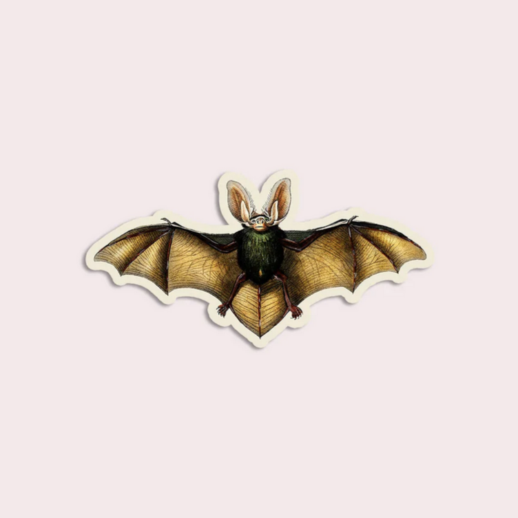 Blasé Bat - Gap Filler Sticker