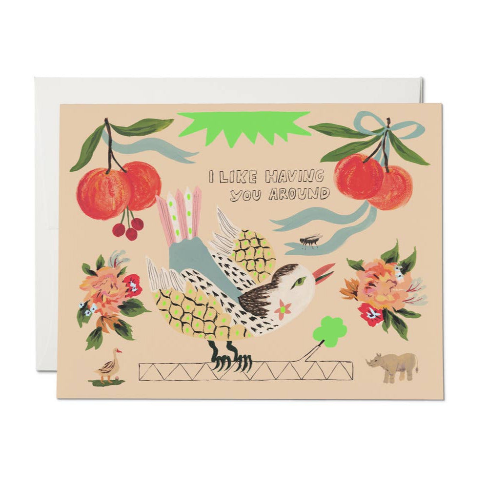 Bird and Fly friendship card
