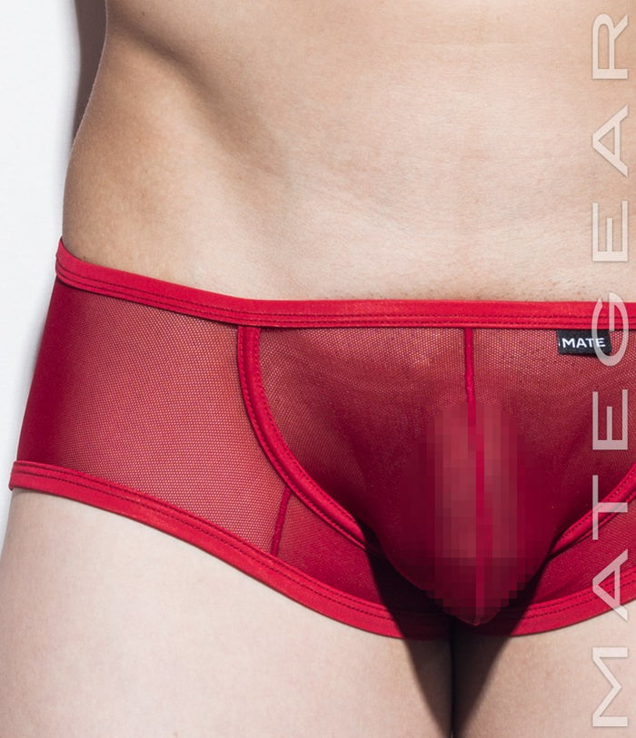 Sexy Men's Underwear Signature Ultra Squarecut Trunks - Ji Su (Mesh Series) - MATEGEAR - Sexy Men's Swimwear, Underwear, Sportswear and Loungewear