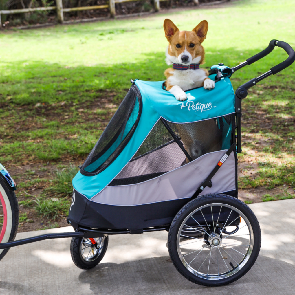 Petique, Inc - Trailblazer Pet Jogger
