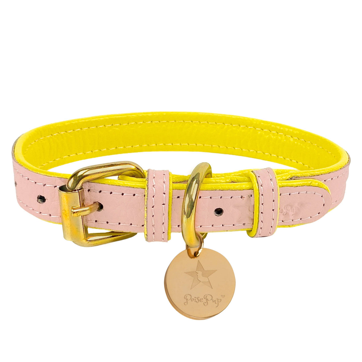 PoisePup - COLLAR - SWEETEST THING