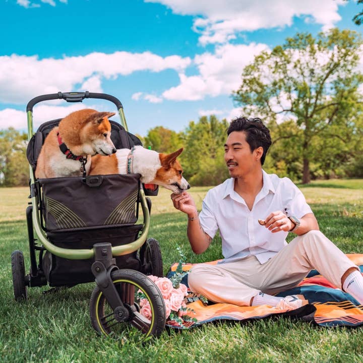 Ibiyaya - Beast Pet Jogging Stroller, 3-Wheel All-Terrain Dog-Cat Pram