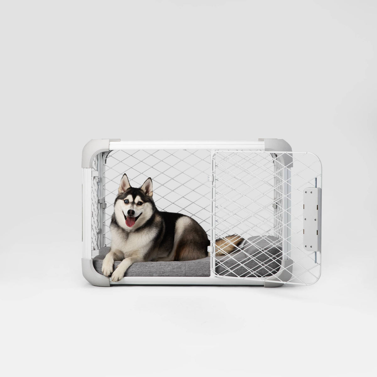 Diggs - Evolv Dog Crate
