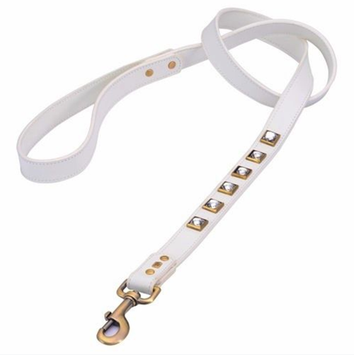 Dosha Monte Carlo Leashes