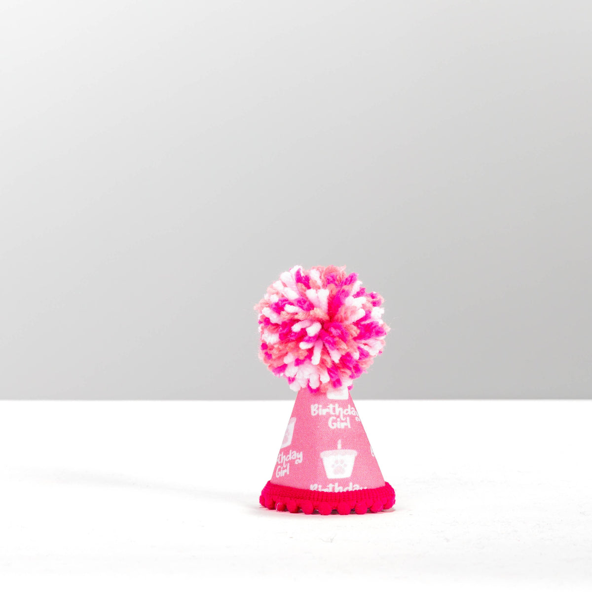 Pup Party Hats - NEW Birthday Girl Pink Ink Party Hat