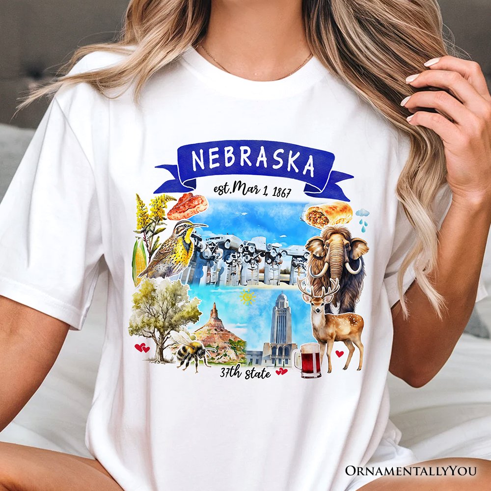 Artistic Nebraska State Themes and Landmarks T-Shirt, Tee for History and Travel Lovers