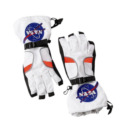 Astronaut Gloves