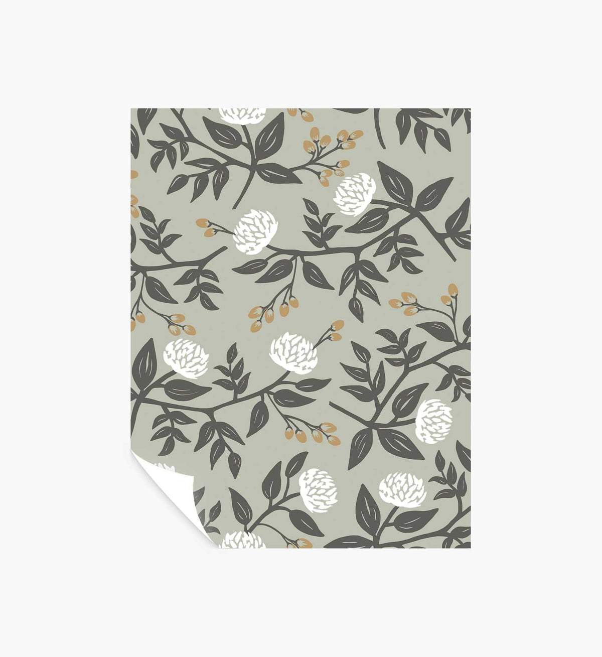 Peonies Peel & Stick Wallpaper Sample - Smoke