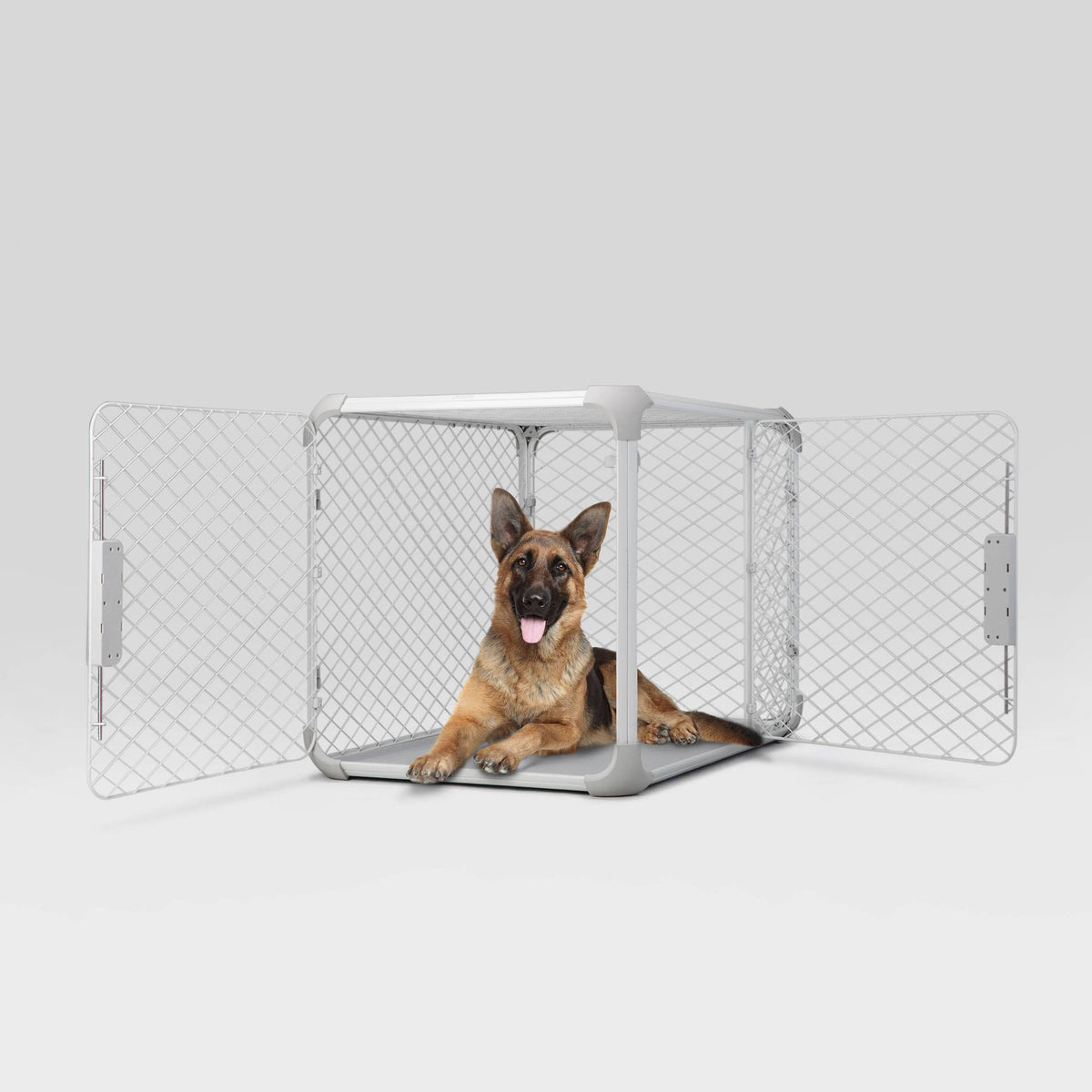 Diggs - Evolv Dog Crate