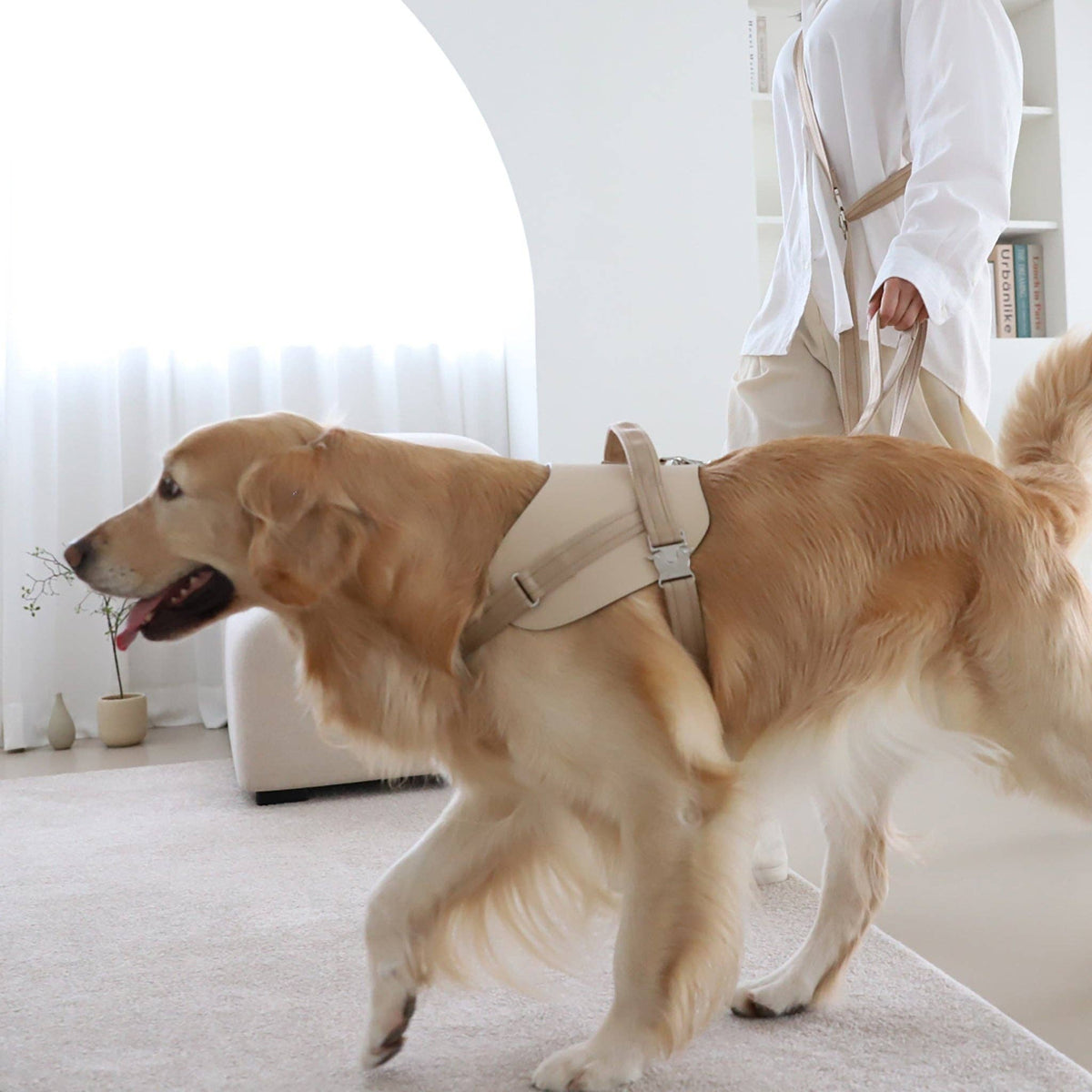 Hozi - Saddle Hands-free Leash : Beige
