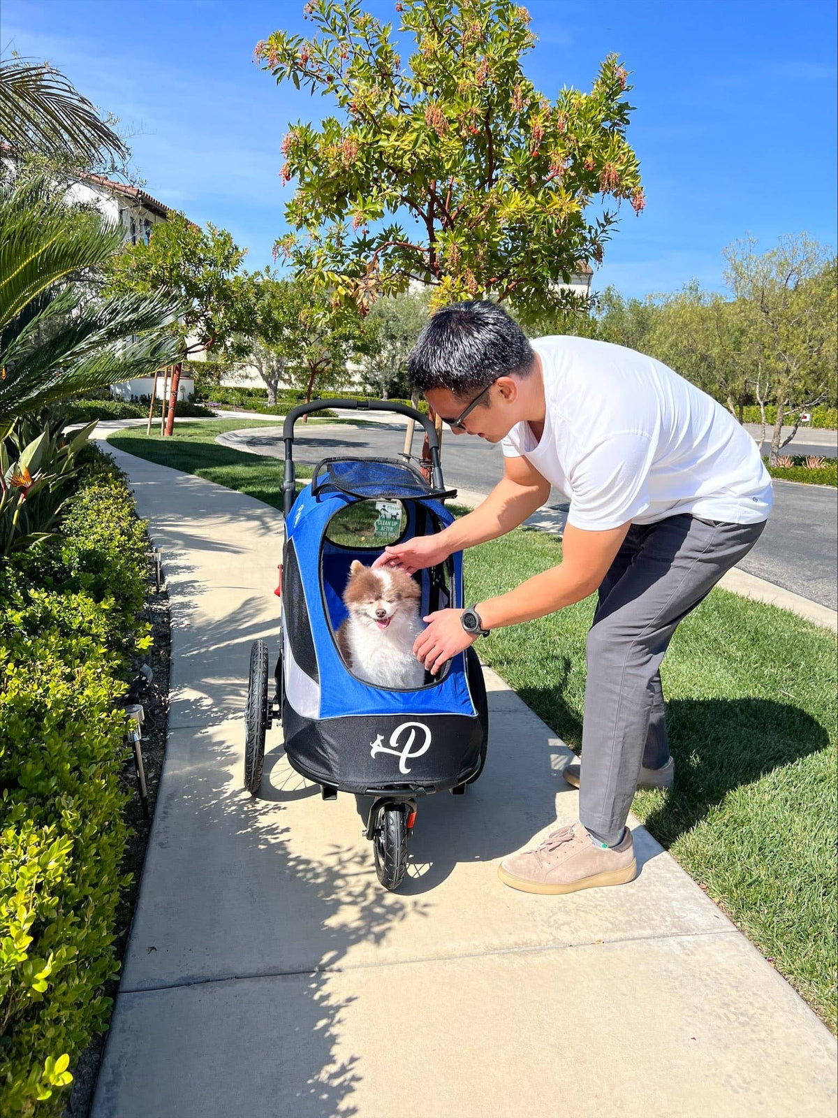 Petique, Inc - Trailblazer Pet Jogger