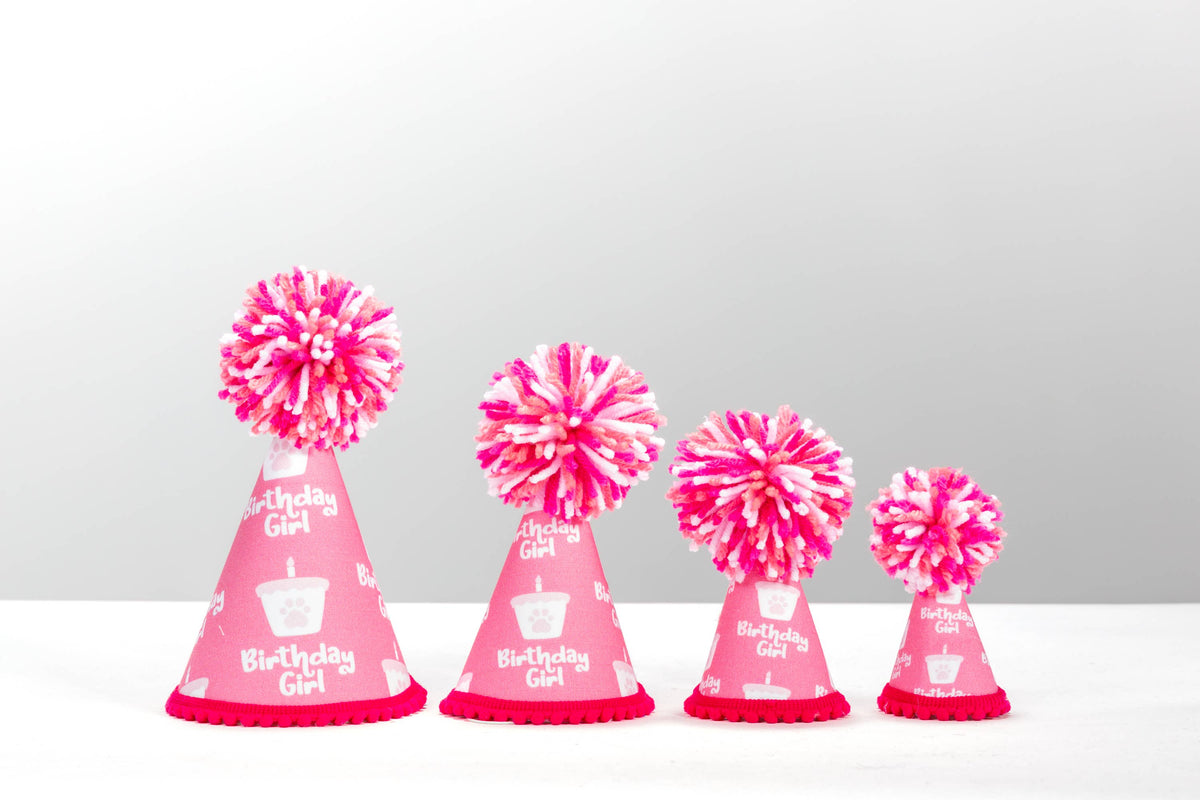 Pup Party Hats - NEW Birthday Girl Pink Ink Party Hat