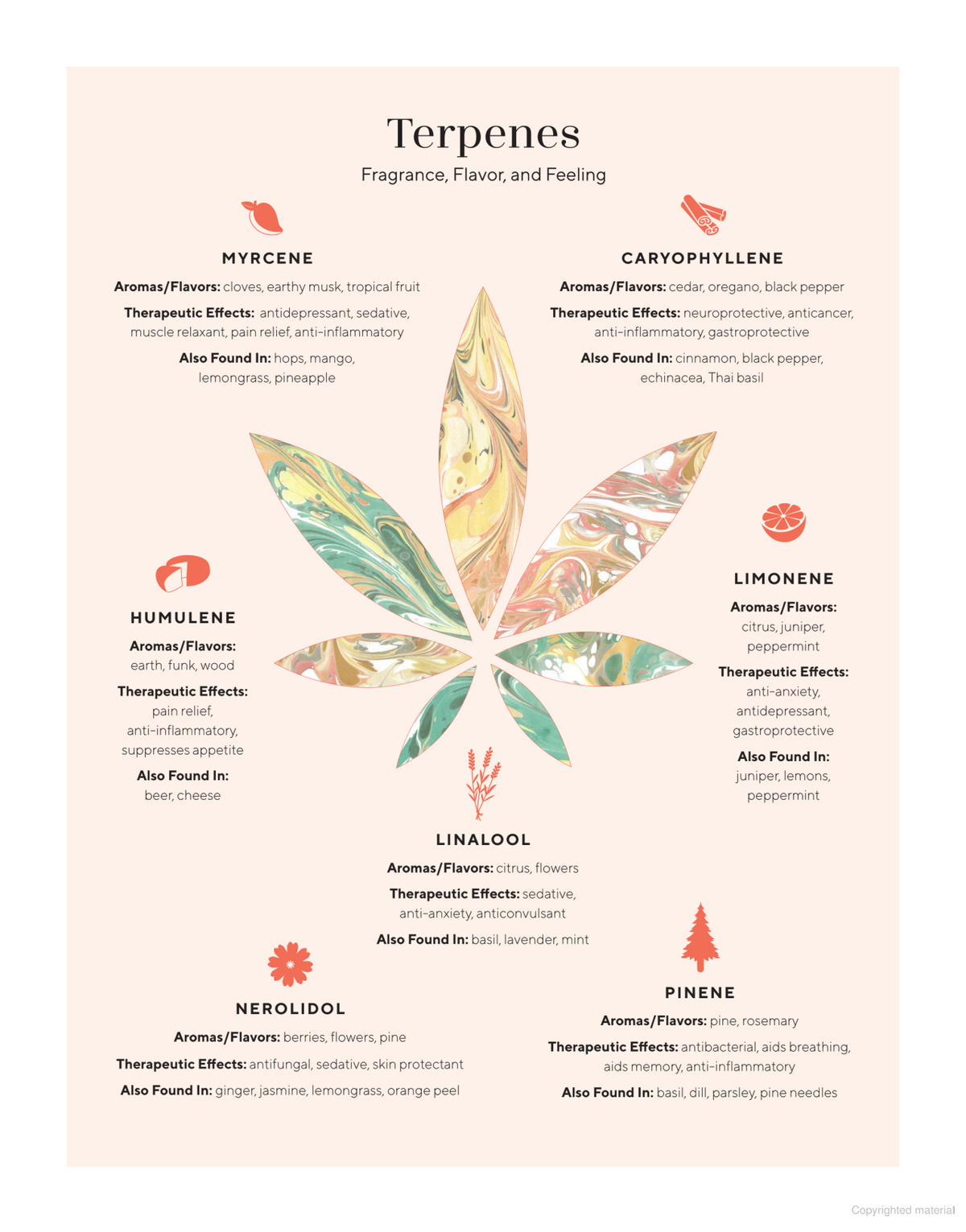 Edibles Small Bites for the Modern Cannabis Kitchen
