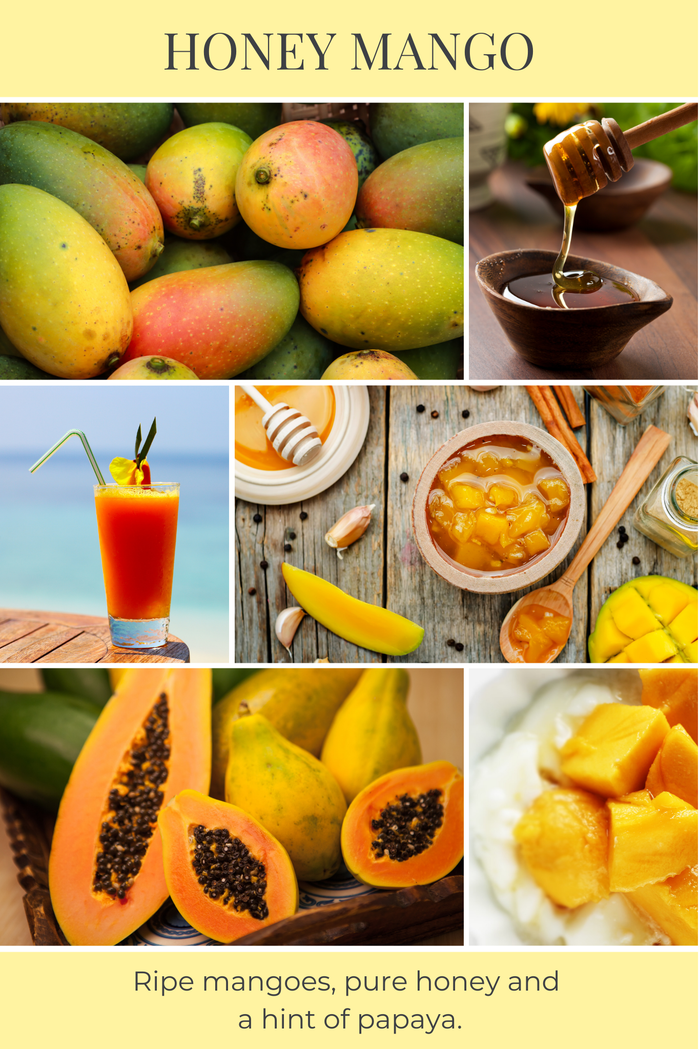 Eco Candle Company - 18oz eco candle HONEY MANGO