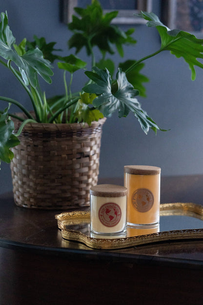 Eco Candle Company - 18oz eco candle HONEY MANGO