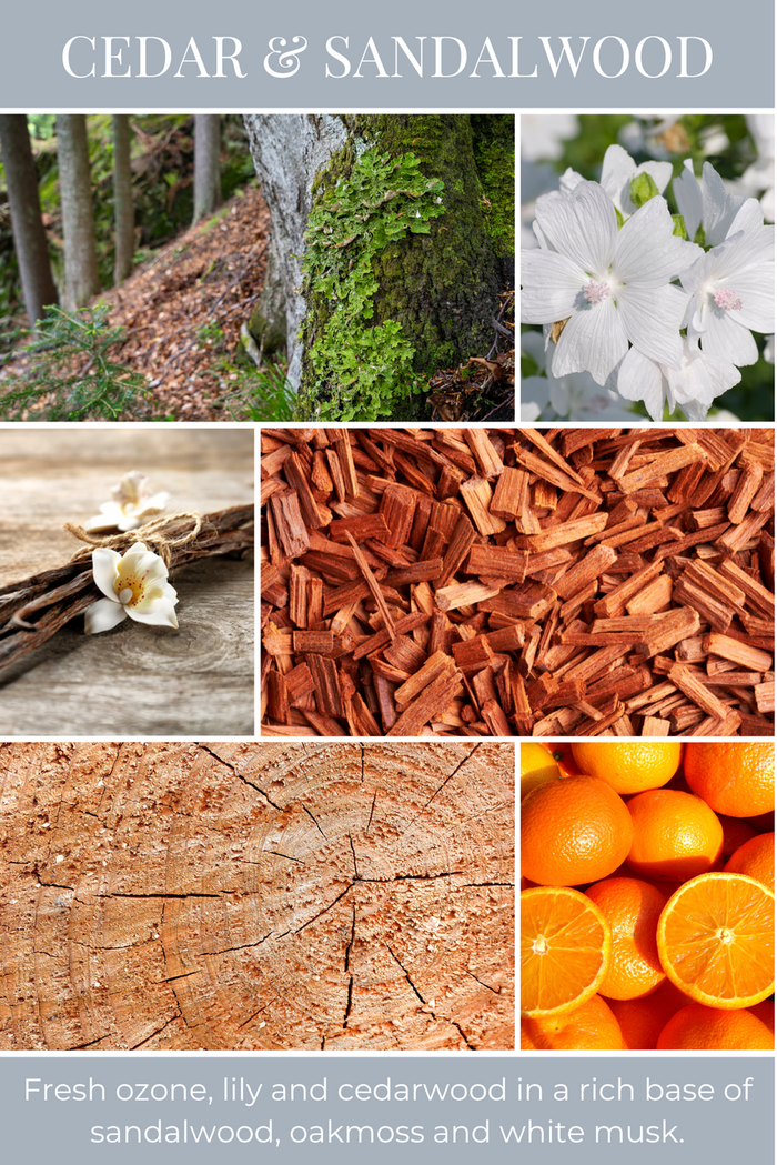 Eco Candle Company - Tea light 10pk CEDAR & SANDALWOOD