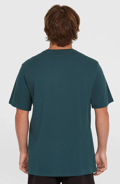 O’Neill Logo T-Shirt Alma Steel