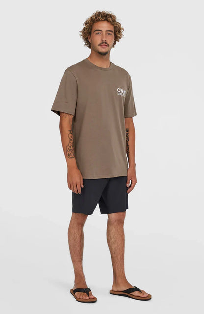 O’Neill O’riginals Cali Logo T-Shirt Pure Cashmere