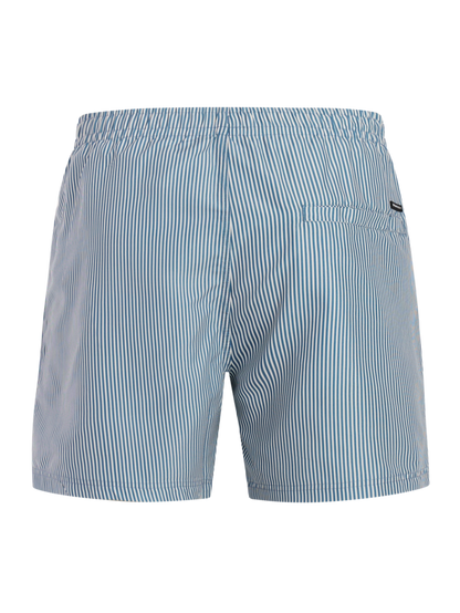 Protest PRTMarama beach short - Empire Blue