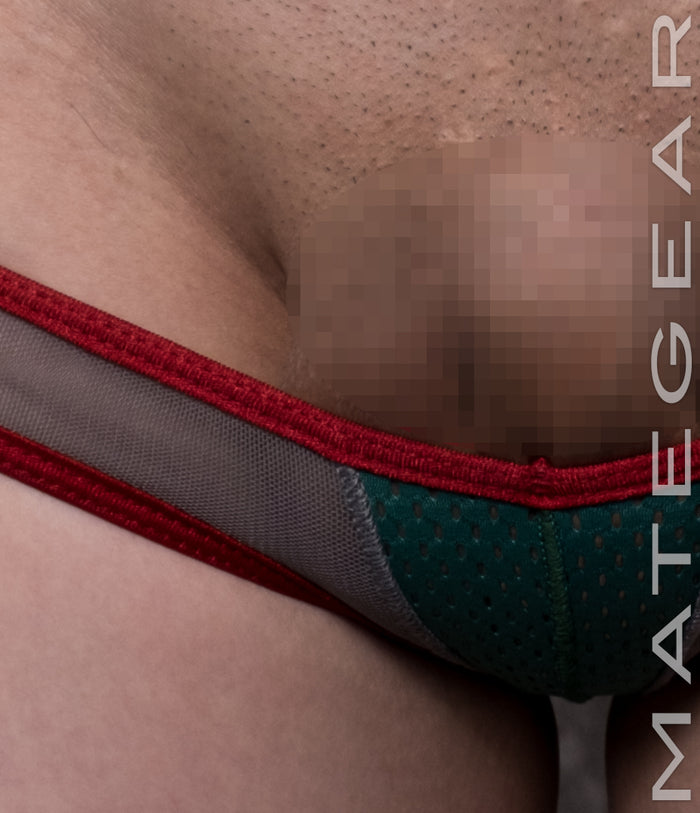 Sexy Mens Swimwear Ultra Swim Bikini - In Hoe V (Xtra Low Flat Front)