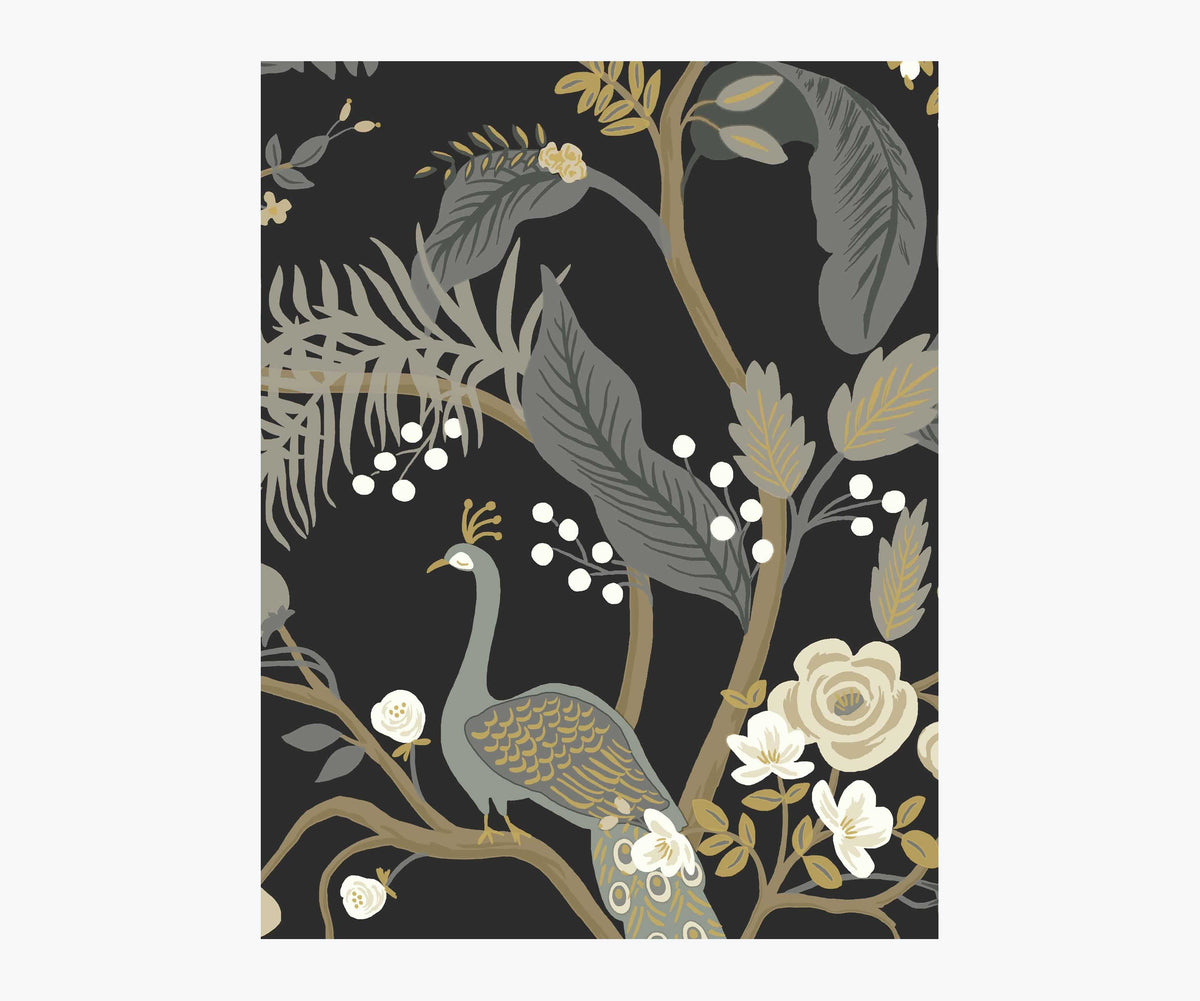 Peacock Wallpaper Sample - Black