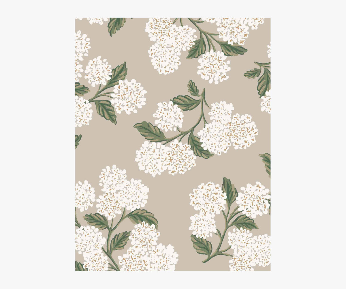 Hydrangea Wallpaper Sample - Linen