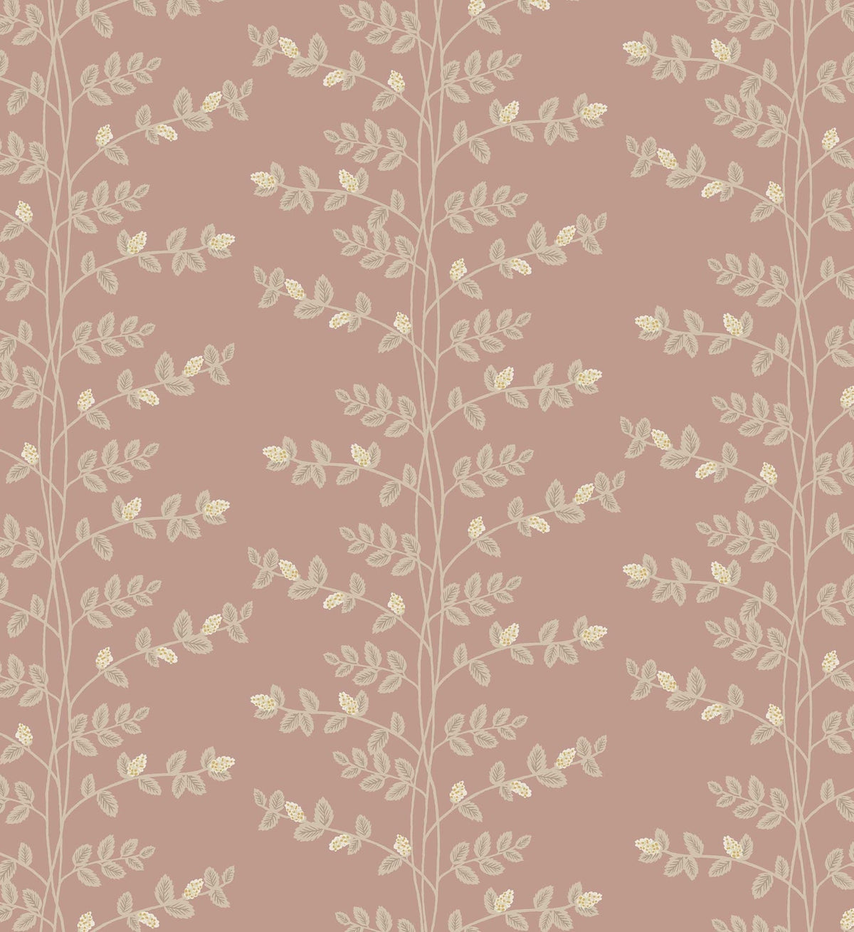 Climbing Vines Wallpaper - Rose